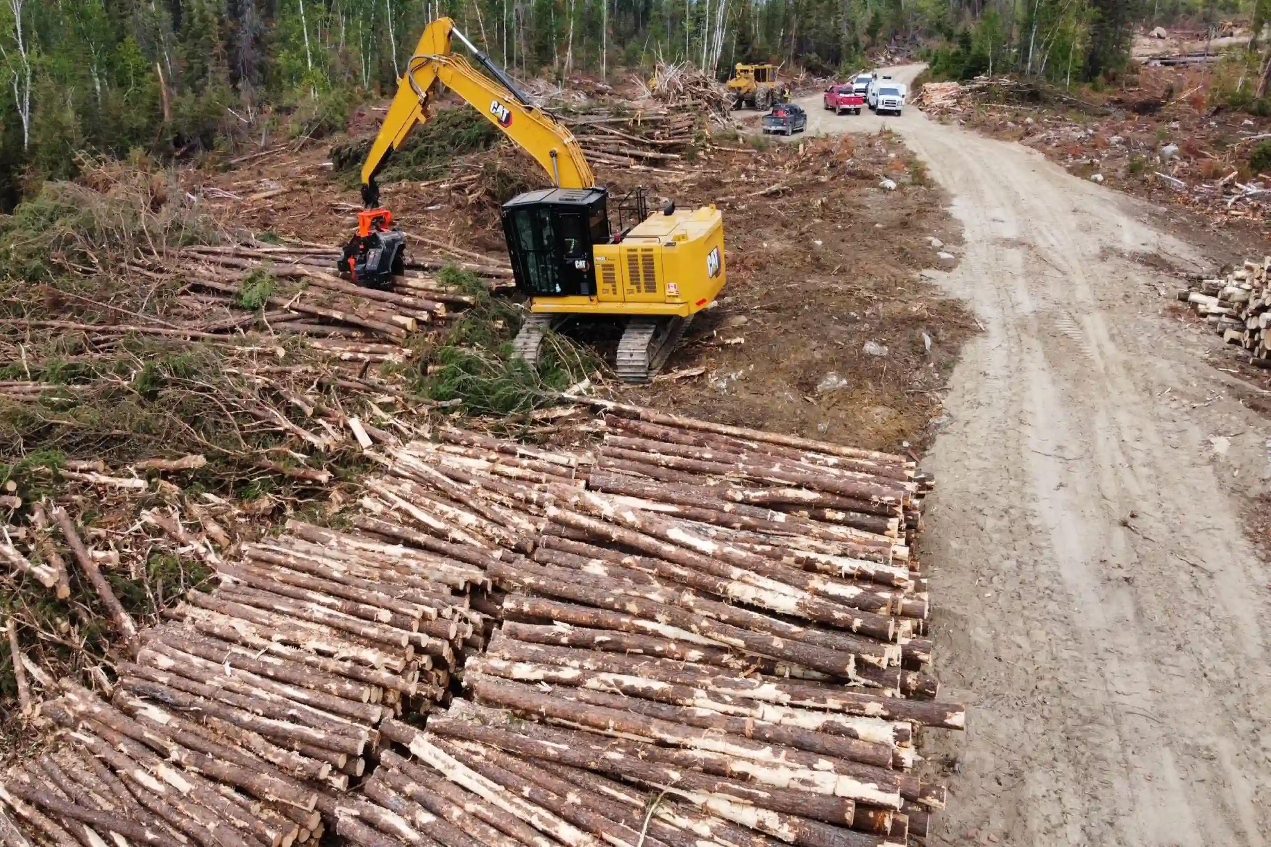 Aerial view of a CAT logging processor sorting delimbed timber beside stacked log piles on a forest access road